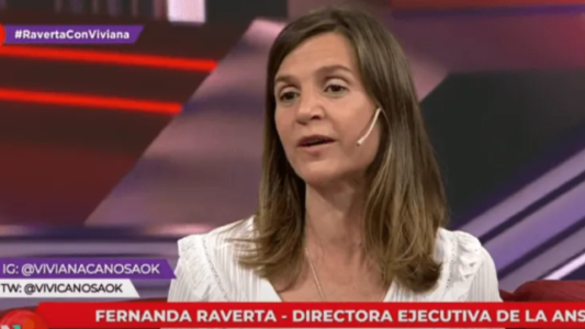 La directora de Anses explicó en que instancia se encuentra el IFE