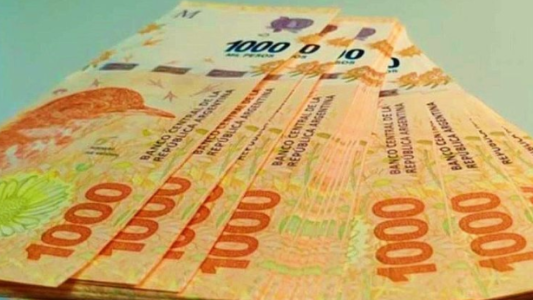 AUH: quiénes, cómo y por qué cobrarán en diciembre casi $40.000