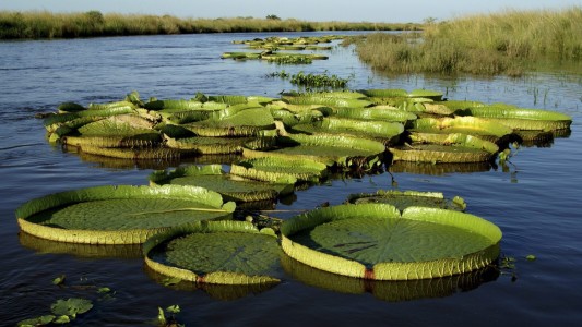 La provincia de Santa Fe autorizó la vuelta progresiva del turismo interno