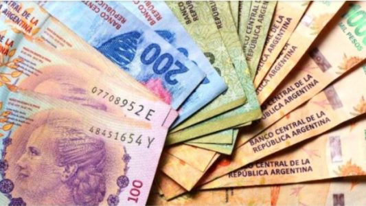 AUH devolución del 20% y bono de $8.000:  Cuándo y cómo se obtiene el pago