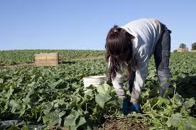 Las mujeres ganan en promedio por hora 14% menos que los hombres