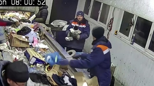 Un gato salvado cuando iba en cinta hacia un basural