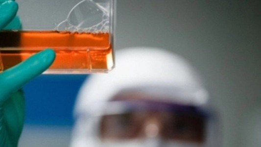 El suero equino, inmune contra el coronavirus, llega este lunes a los hospitales