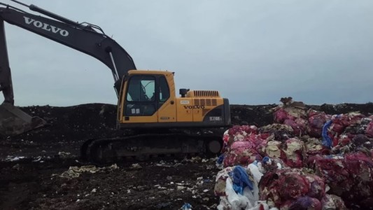 Hallaron nueve fetos en estado de descomposición en basural de Mar del Plata