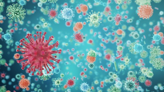La variante del coronavirus detectada en Reino Unido ya está en 50 países