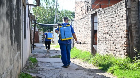 Confirmaron el primer caso importado de dengue en Rosario