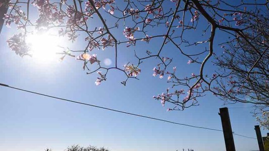 Continúa el calor intenso en la ciudad