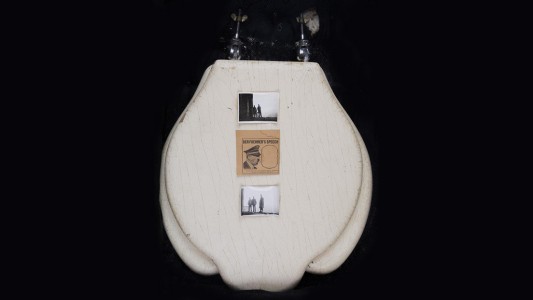 Subastan la tapa y el asiento de un inodoro usado por Hitler