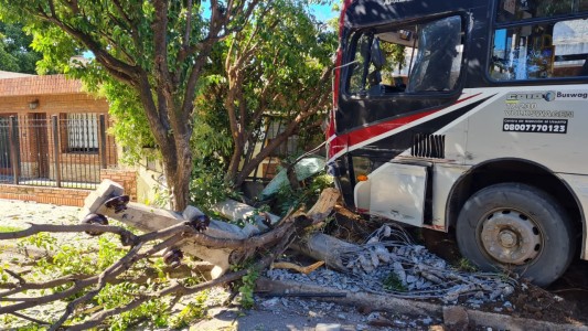 Córdoba: fuerte choque de colectivos urbanos
