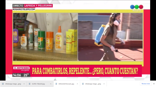 Se vinieron los mosquitos con todo. ¿Cómo los combatimos?