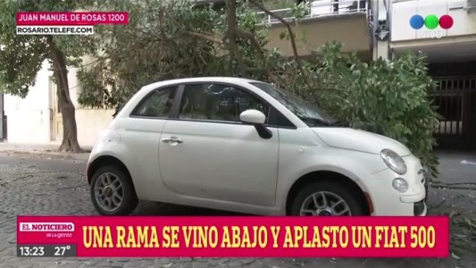 Una rama cayó sobre un auto en el centro de la ciudad