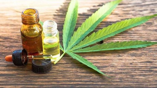 La ANMAT permitirá la importación de productos derivados del cannabis para uso medicinal