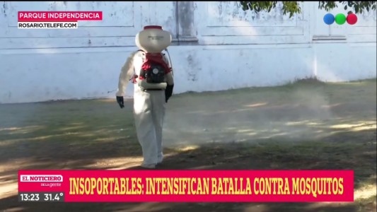 El municipio refuerza las acciones para combatir los mosquitos