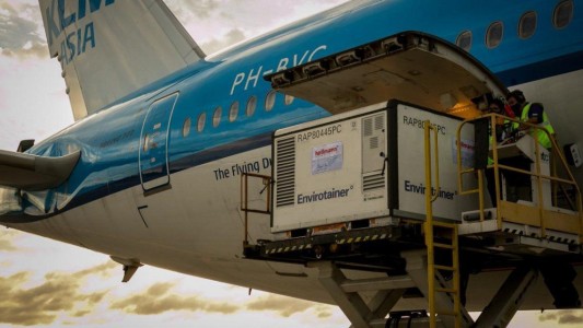 Llegaron al país 96 mil dosis de la vacuna Sinopharm y se completó el lote de un millón