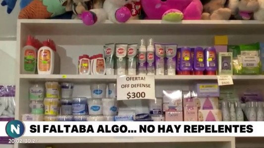 Mosquitos al ataque, repelentes en falta