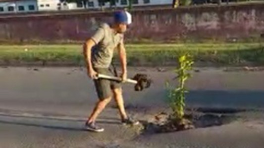 Insólito: decidió plantar un árbol en un pozo donde rompió el tren delantero