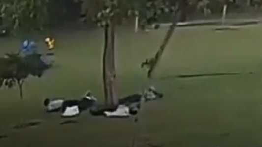 Se refugiaban de una tormenta debajo de un árbol y los alcanzó un rayo