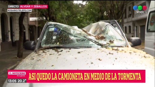 Una camioneta fue aplastada por un árbol