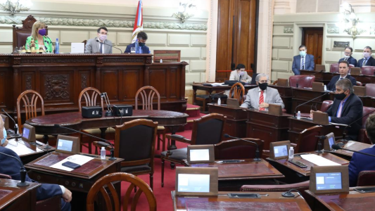 Las cámaras legislativas suspendieron al fiscal adjunto Rodrigo González