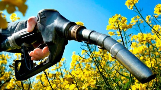 Entidades empresarias de la Región Centro instan a prorrogar la ley de biocombustibles