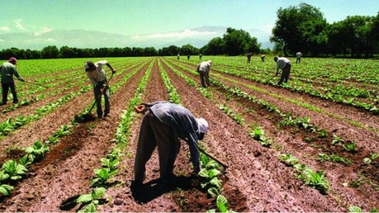 Falta mano de obra en las economías regionales