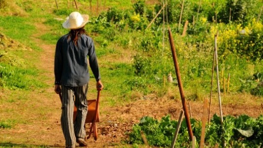 Rosario fue elegida como miembro del Comité Directivo del Pacto de Milán