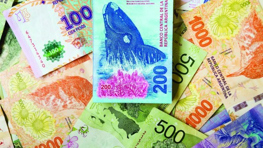 Cronograma de pago de AUH, AUE, jubilaciones, tarjeta alimentaria y Becas Progresar