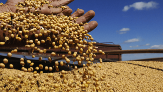 40 quintales de diferencia entre oeste y este en la cosecha de soja de la región núcleo