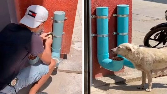 Un joven colocó dispensadores de comida y agua para ayudar a perros callejeros