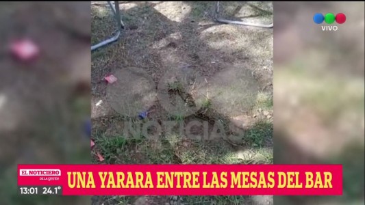 Una serpiente sorprendió en el parque España