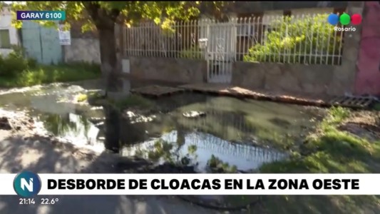 Inmundicia: se le llenó la vereda de materia fecal y no puede salir de la casa