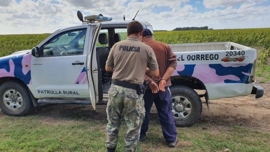 General Dorrego: robó 30.000 kilos de trigo y quedó detenido