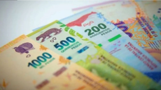 Se termina el plazo para inscribirse y acceder al beneficio de Anses de hasta $9.600