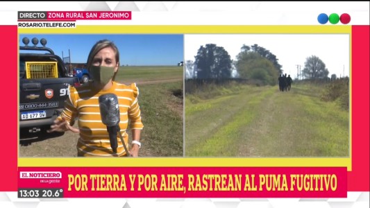 Alerta: continúa la intensa búsqueda del Puma en Roldán
