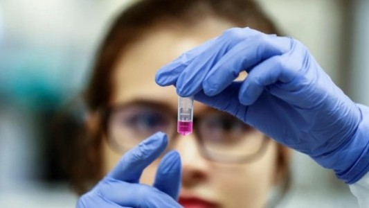 Estudios fase 3: un antiparasitario resultó efectivo para evitar cuadros graves de coronavirus