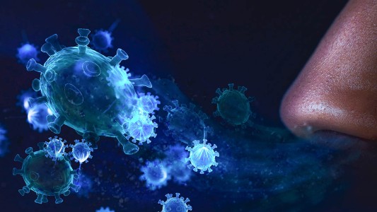 Descubren que exponer al SARS-CoV-2 a altas temperaturas lo neutraliza en menos de un segundo