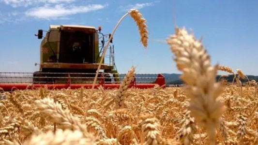 El BNA destinará $ 10.000 millones para financiar a pequeños y medianos productores