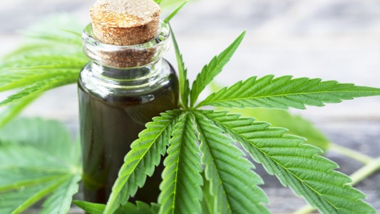 Córdoba adhirió a la ley nacional de uso medicinal del cannabis