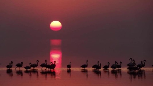 La laguna Mar Chiquita recibe el máximo estatus de conservación ambiental