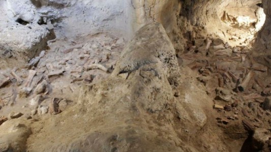 Hallan en Italia restos de neandertales mutilados por hienas