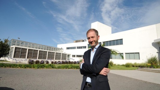 La empresa rosarina que busca convertir en sustentables los embelmáticos alfajores Havanna