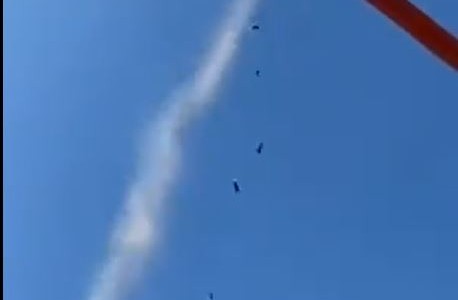 Impresionante "lluvia" de ratones en Australia