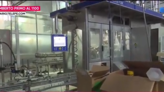 Reclamo de trabajadores en la planta de Cotar