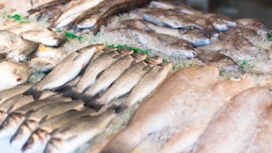 Llega la Pescadería Móvil con precios populares a ferias y mercados Arriba Rosario