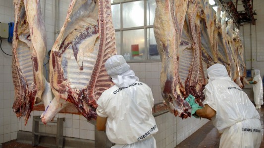 Kulfas: "La idea es retomar la semana que viene el camino de la exportación de carne"