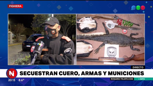 Detuvieron a una persona por matar a un yacaré negro