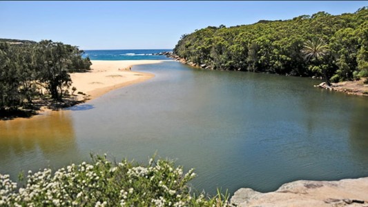 Rescataron a nudistas que se asustaron con un ciervo y se perdieron en un bosque