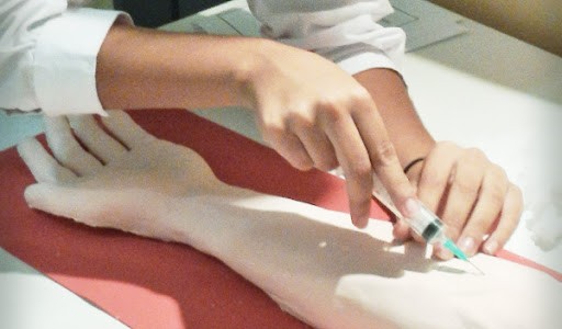 Dotarán de biosimuladores a carreras de 46 universidades