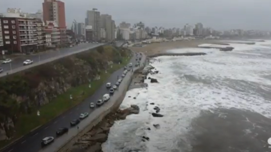 Temporal en Mar del Plata: árboles caídos, calles inundadas y barrios sin luz