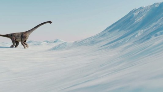 Los dinosaurios fueron víctimas del frío antes del impacto del meteorito, según un estudio